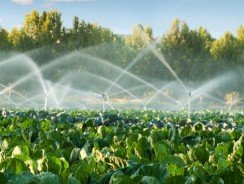 Arrosage automatique et irrigation agricole: Ce qu&rsquo;il faut savoir