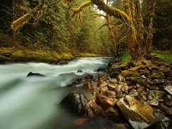 Les avantages d&rsquo;un rafraichisseur d&rsquo;air