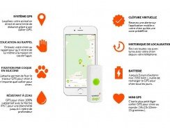 Que penser des traceurs GPS pour chien et chat ?