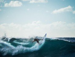 Comparatif surf électrique 2025