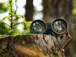 Jumelles de vision nocturne : comment réussir cet achat important ?