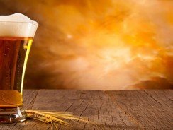 Comparatif machine à bière 2023