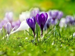 Pourquoi faut-il acheter un rafraichisseur d&rsquo;air ?