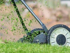 Rotofil ou faux : que choisir ? Avantages et inconvénients
